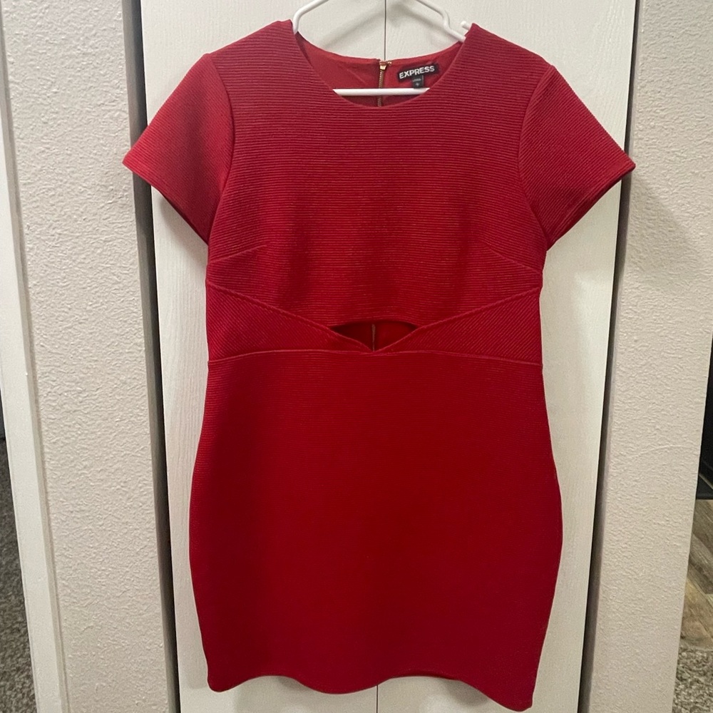 Red Express Bodycon Dress